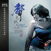 孙露经典专辑歌曲百度云下载- 声色扰人