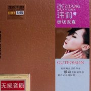 张玮伽经典专辑歌曲百度云下载-燃烧寂寞